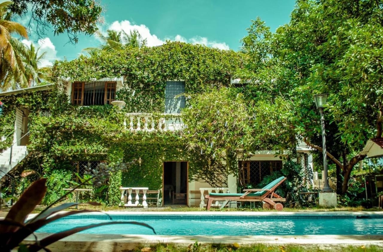 Villa Carolina Bed And Breakfast Puerto Plata Eksteriør billede