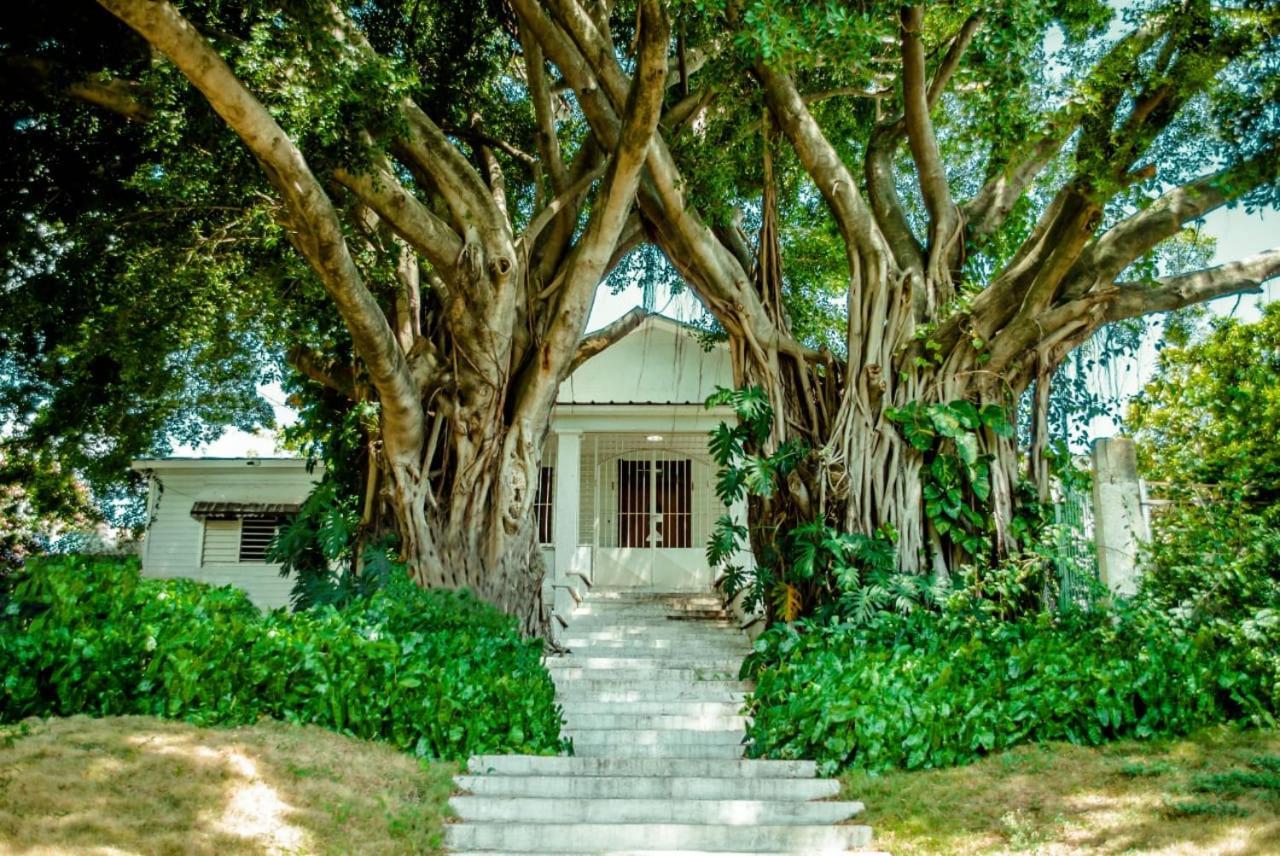 Villa Carolina Bed And Breakfast Puerto Plata Eksteriør billede