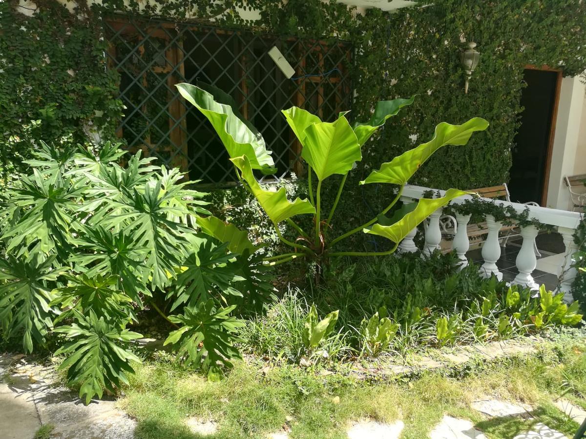 Villa Carolina Bed And Breakfast Puerto Plata Eksteriør billede